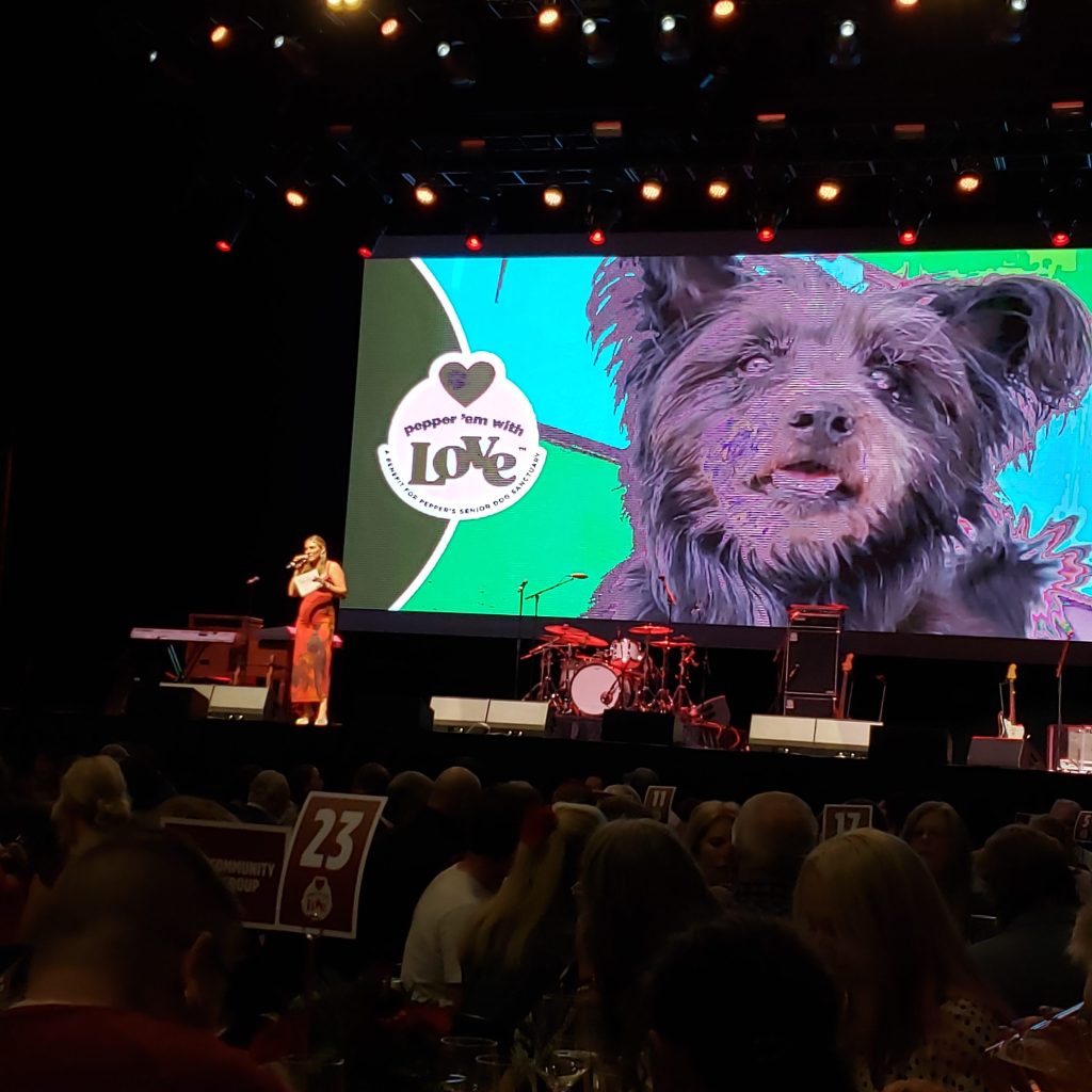 Auctioneer Halie Behr at Pepper 'Em With Love Fundraiser Gala