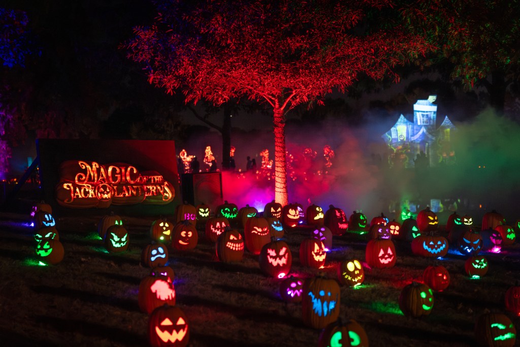 Pumpkins lit up in different colors