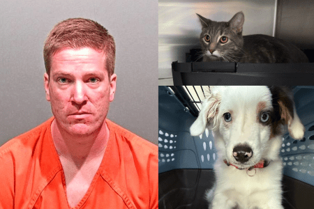 Arvada Man Accused of Killing, Abusing Puppies and Kittens