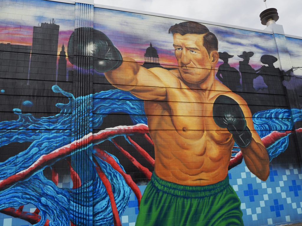 A painting of a boxer