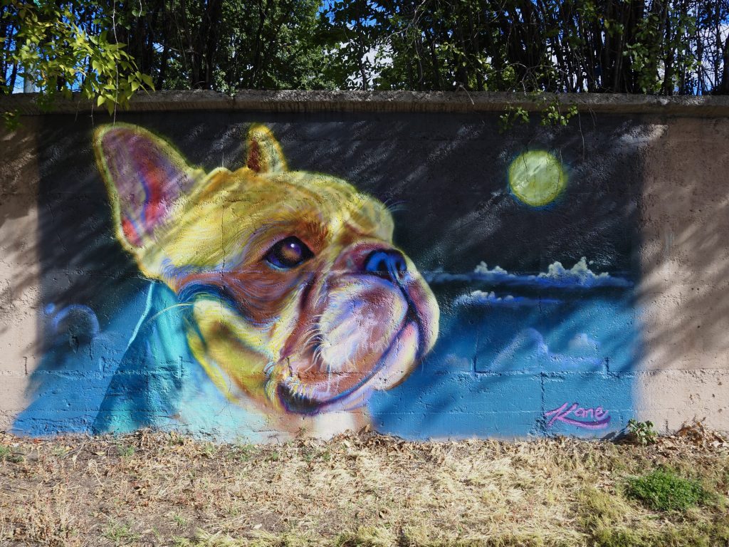 A colorful painting of a dog
