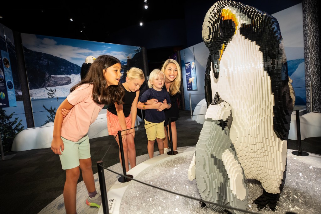 A family looks at penguins made out of LEGOs.