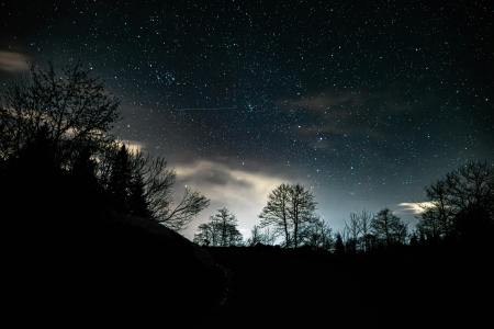 How to Catch the Leonid Meteor Shower in Colorado