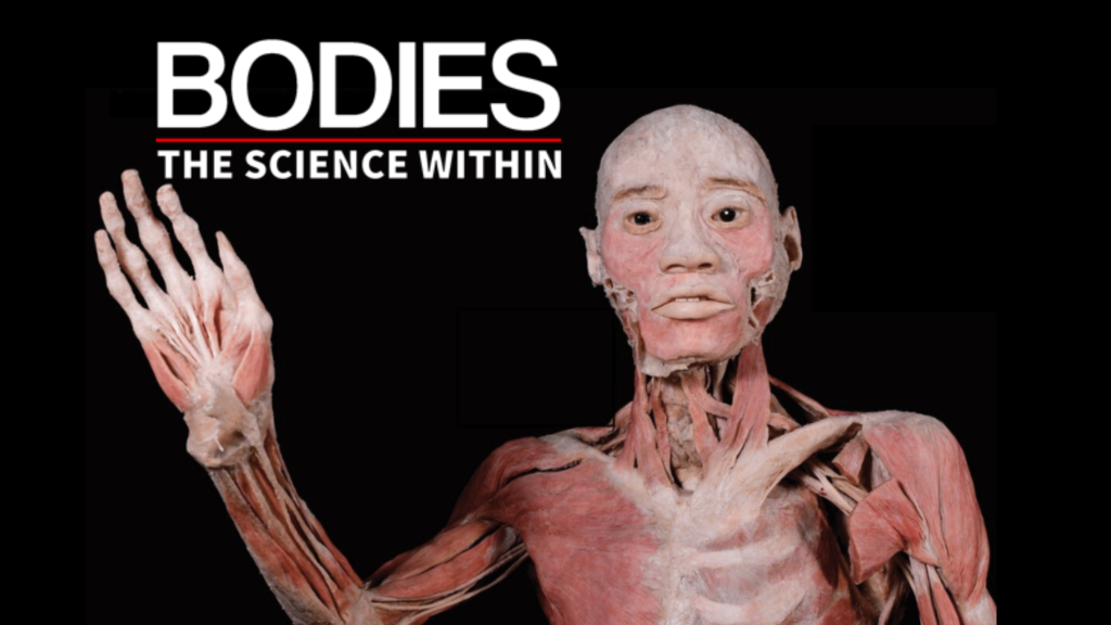 Bodies – The Science Within – Denver