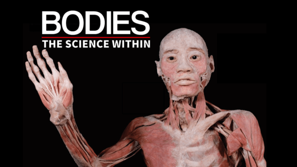 Bodies – The Science Within – Denver