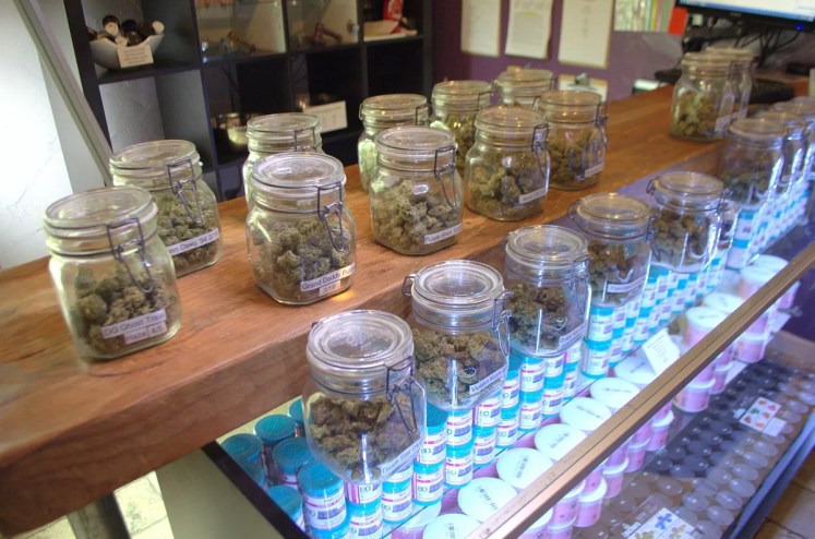 Jars of marijuana flower lined up on a dispensary shelf