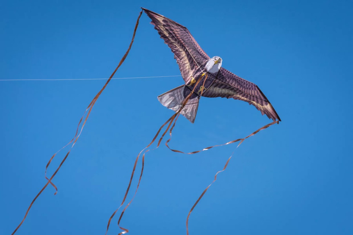 Ten Things to Do in Denver for $10 and Under (Five Free!)