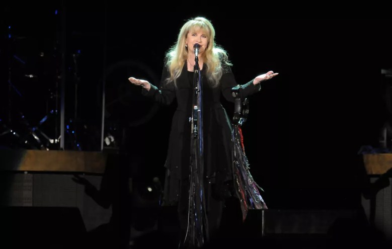 stevie nicks on stage