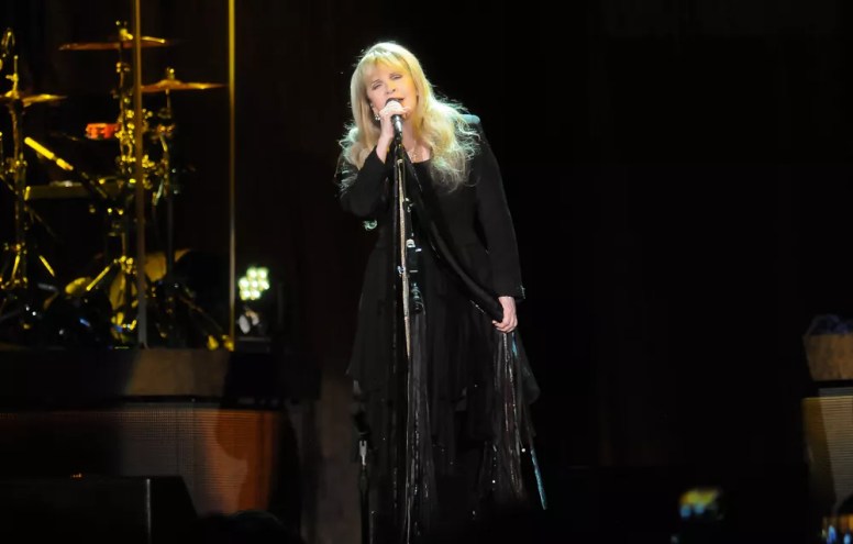 stevie nicks singing on stage