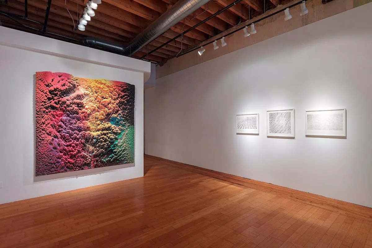 Review: Chris Oatey, Dylan Gebbia-Richards and Donald Fodness Shine at David B. Smith