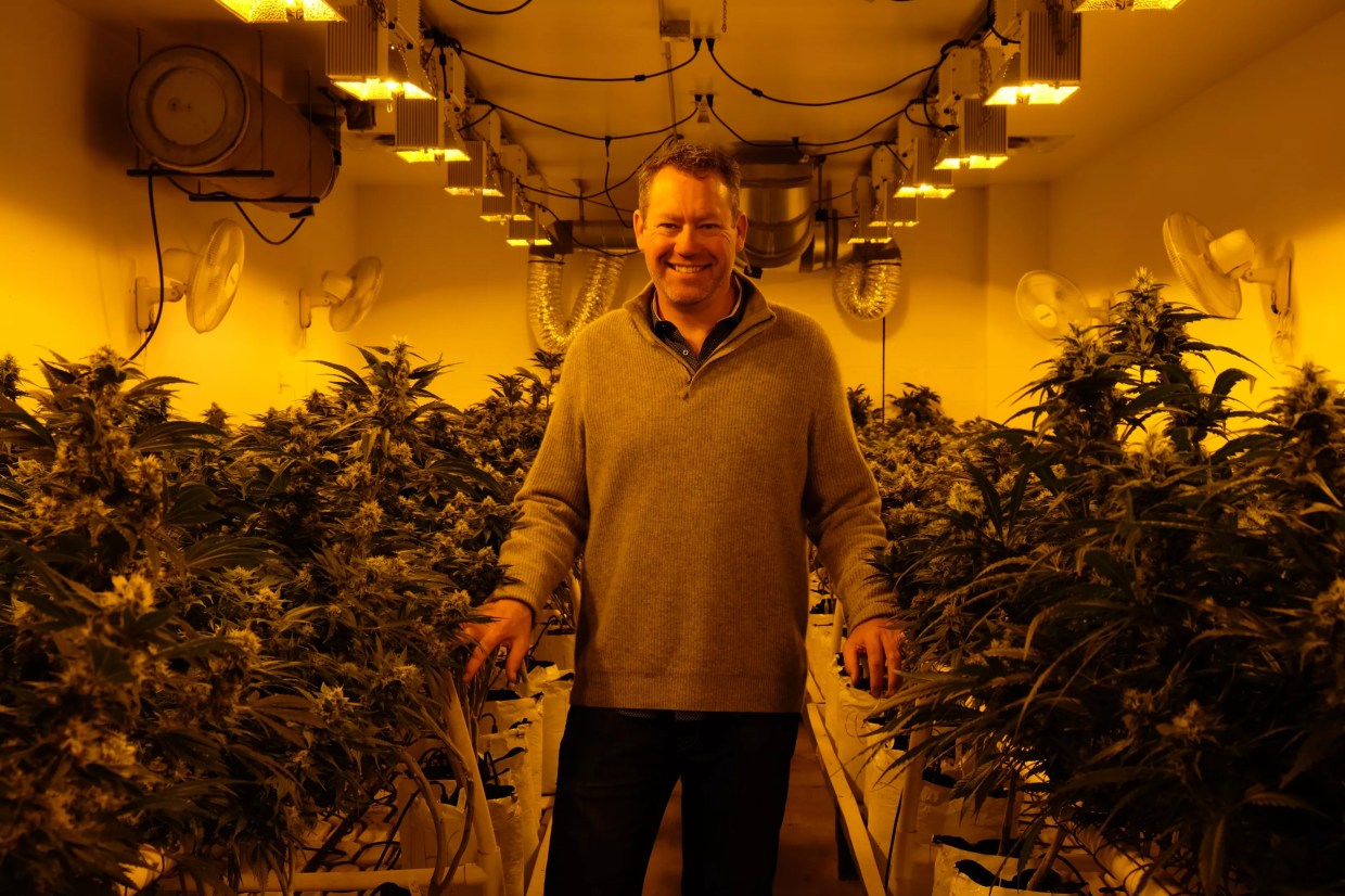 Colorado Harvest Company Has a Growing Reputation in the Cannabis Industry