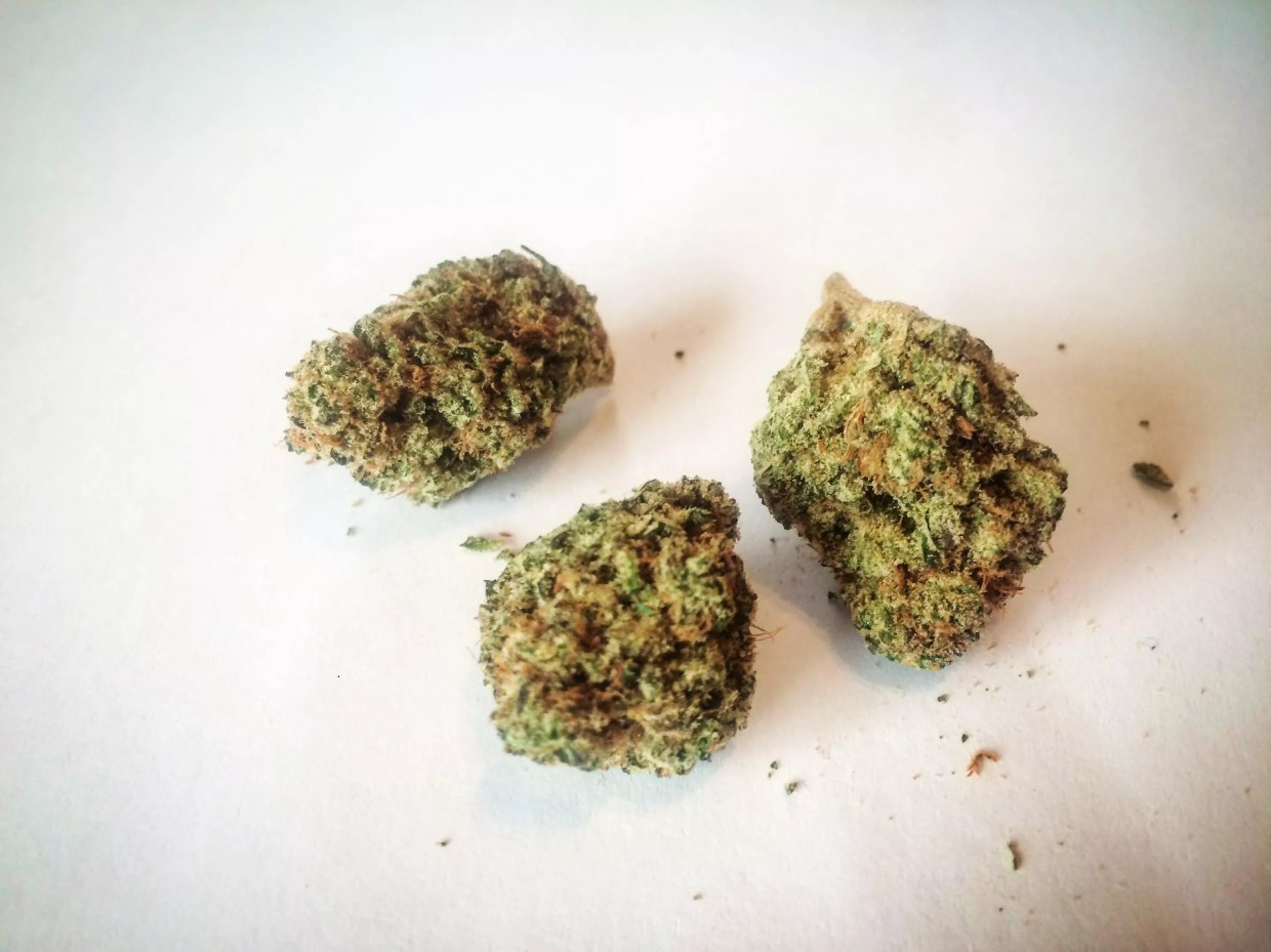 Why Colorado Tokers Love Grape God Bud