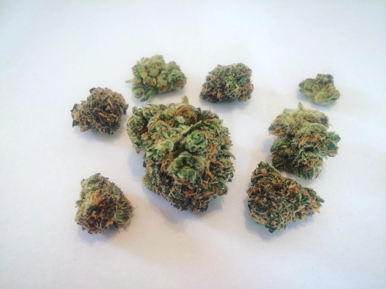 Why Colorado Tokers Love Pineapple Express