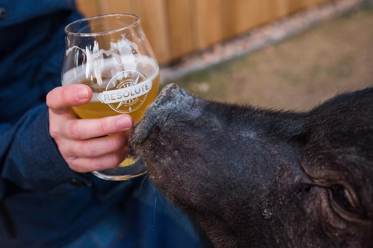 The Seven Tastiest Events on the Culinary Calendar, May 8-11