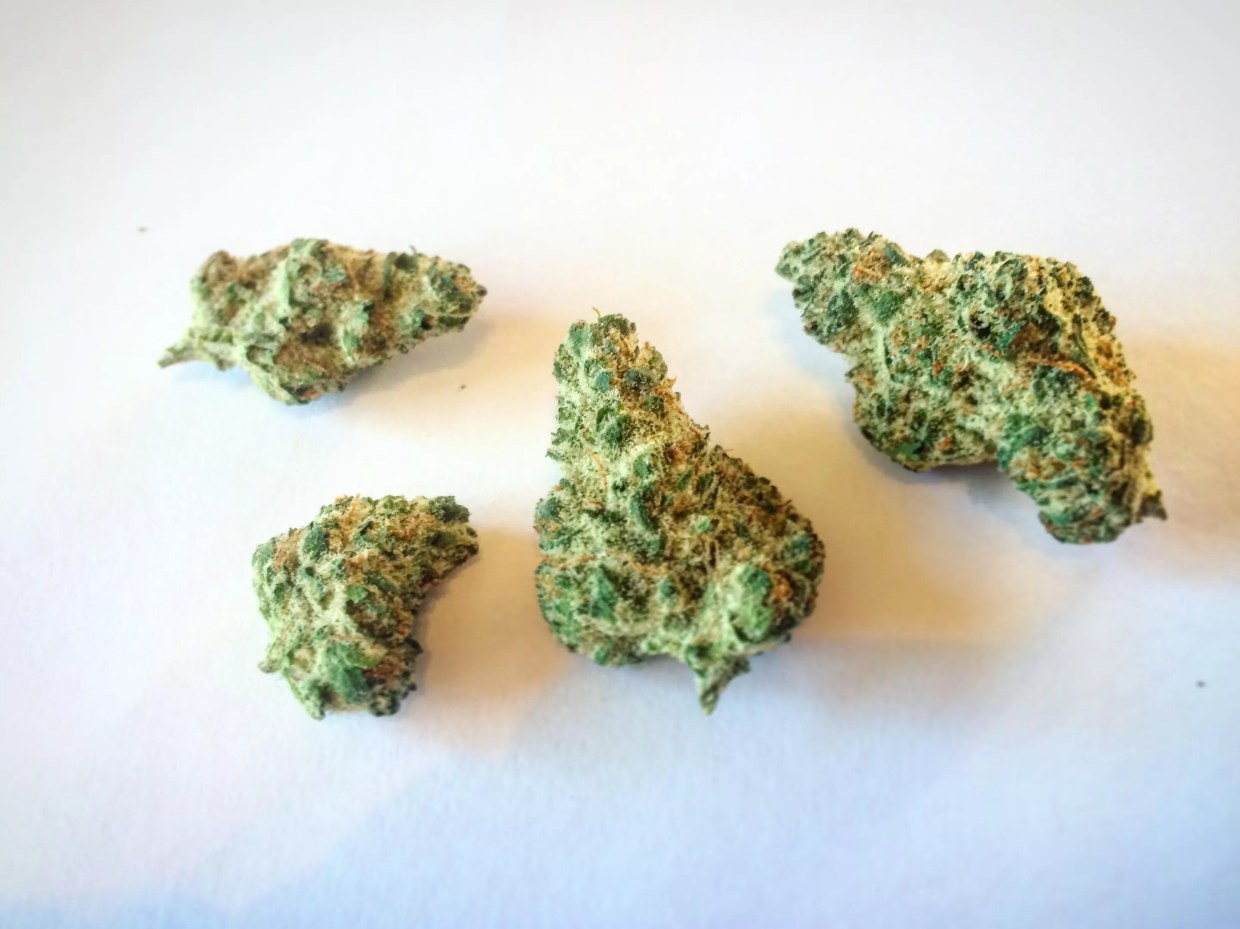 Why Colorado Tokers Love Cookies and Cream