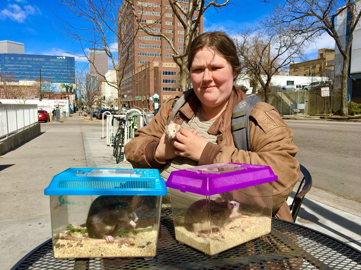 How Will a Proposed Tiny-Home Village for the Homeless Be Governed?