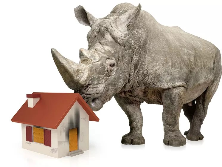 Name Game: Here’s the Lowdown on the RiNo Nickname