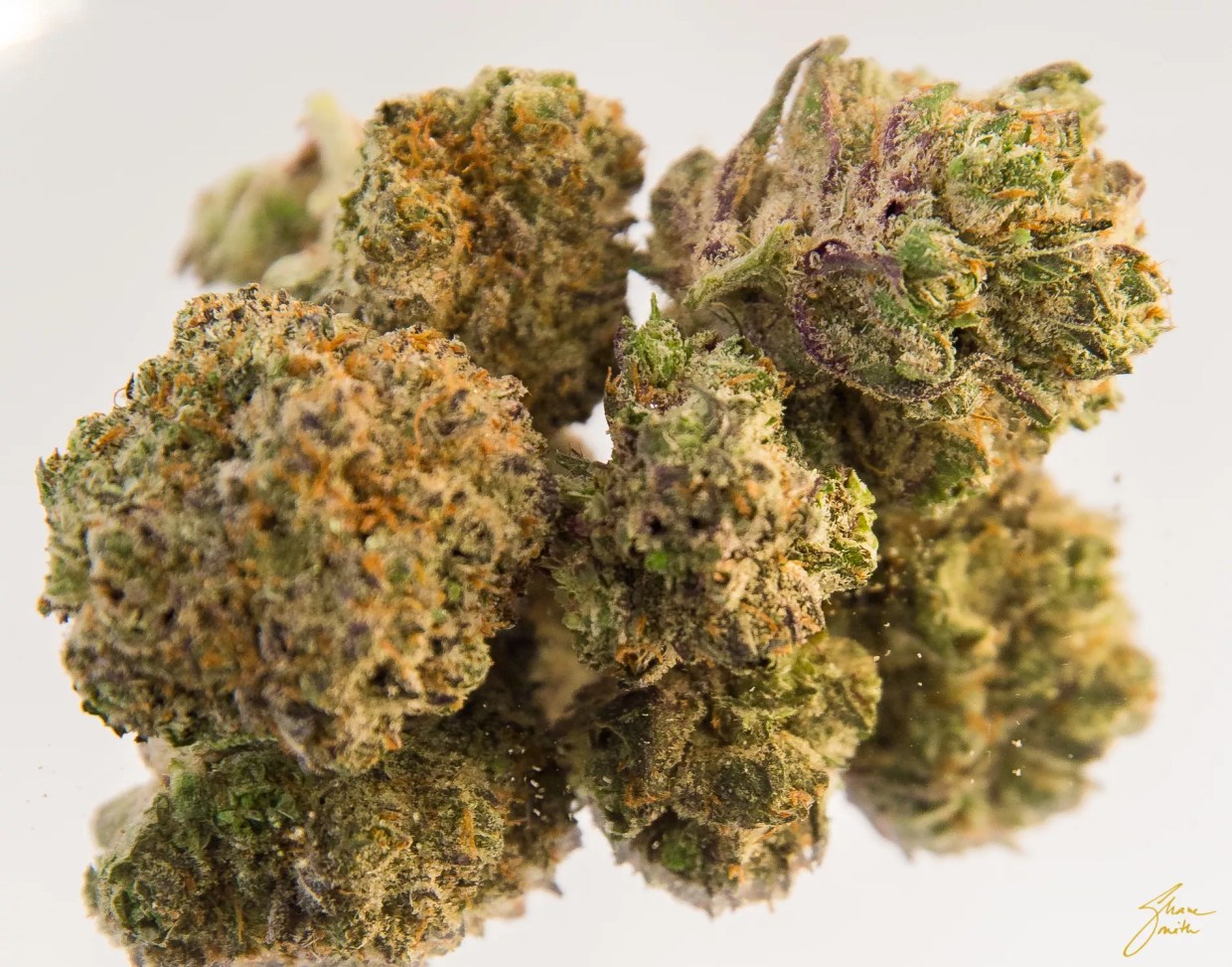 Veritas Fine Cannabis Releases Seven New Strains for 4/20