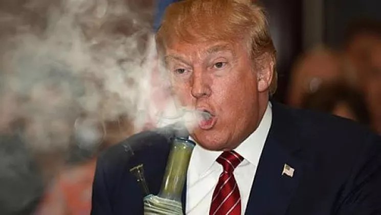 Is Donald Trump Responsible for Record Marijuana Sales in Colorado?