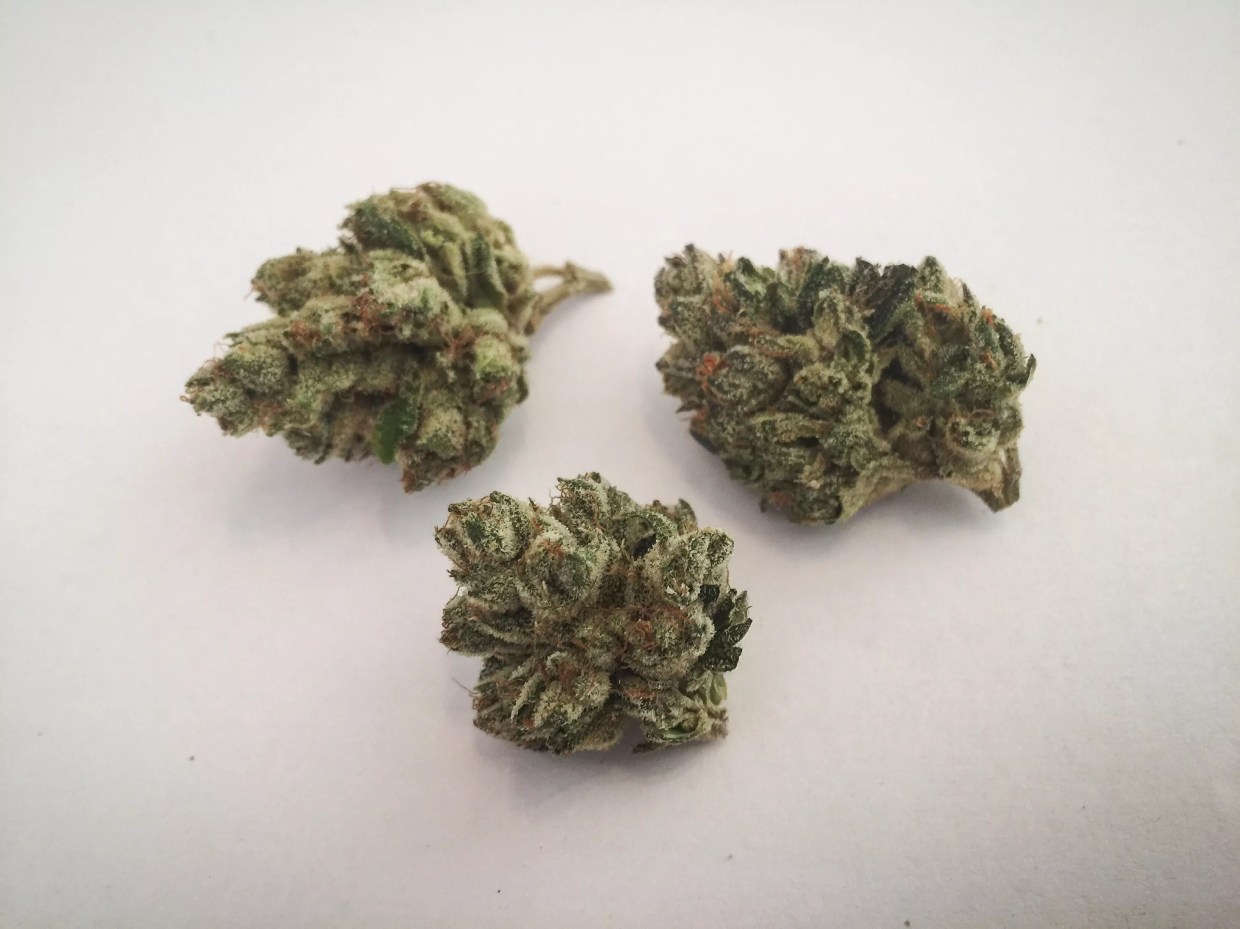 Why Colorado Tokers Love StarKiller