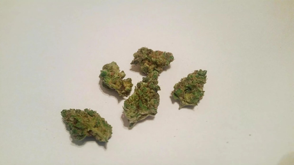 Why Colorado Tokers Love Nurse Jackie