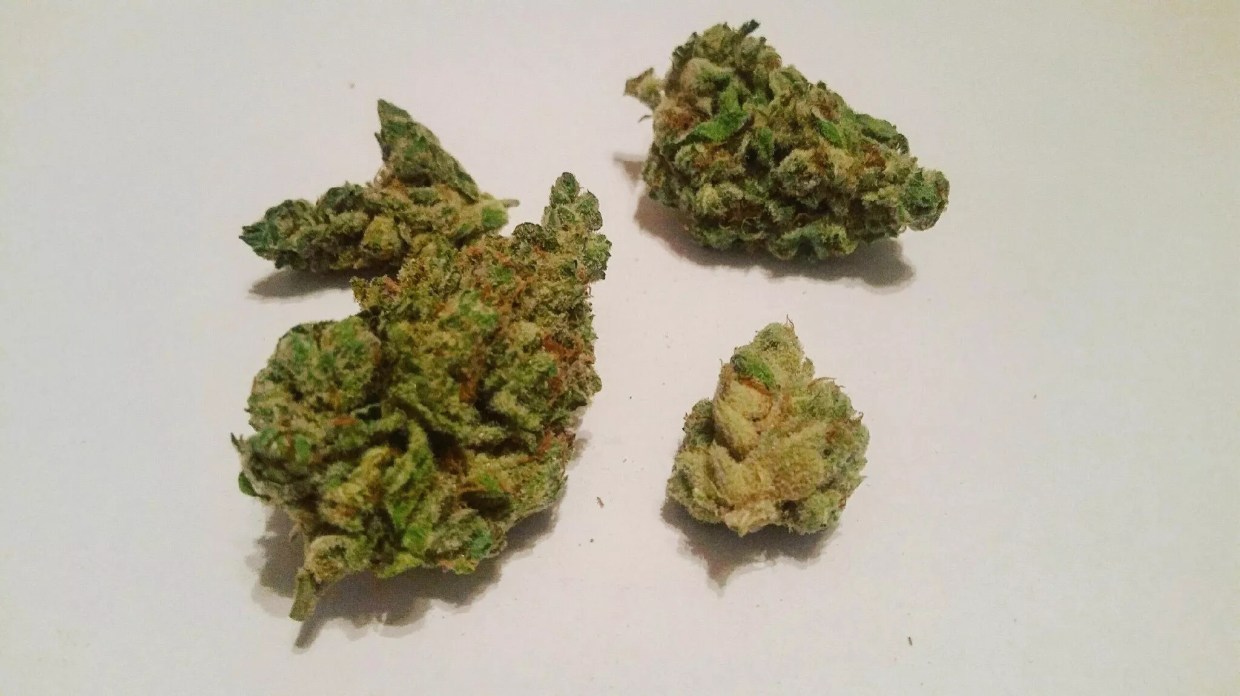 Why Colorado Tokers Love Blueberry Headband