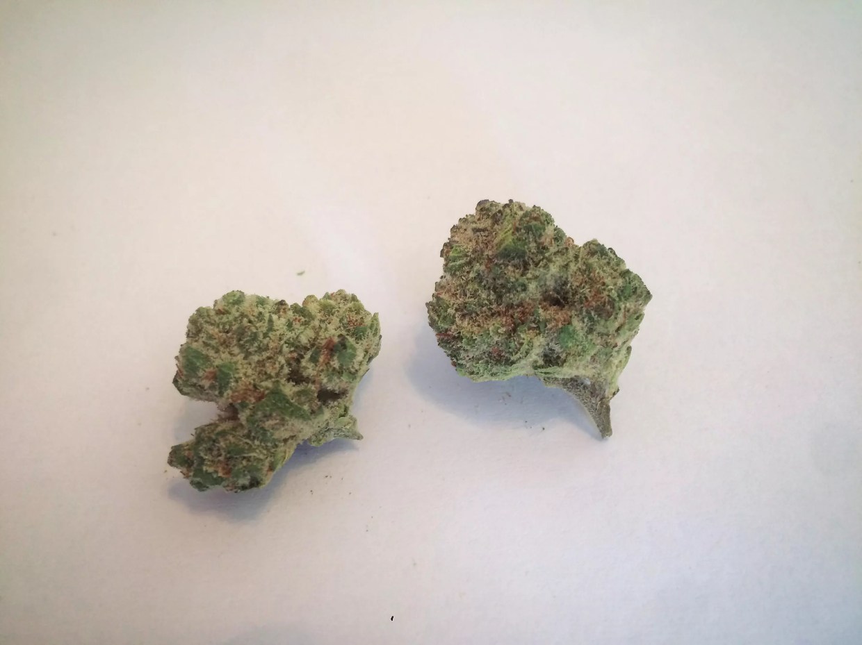 Why Colorado Tokers Love Lucinda Williams