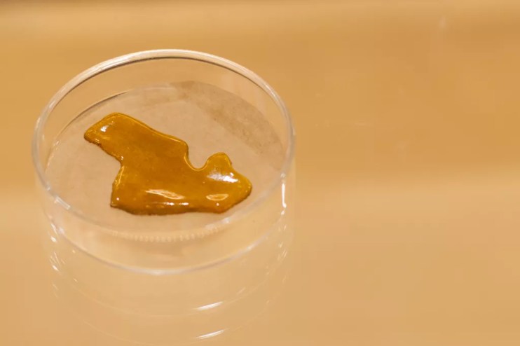 Extracted THC shatter from cannabis