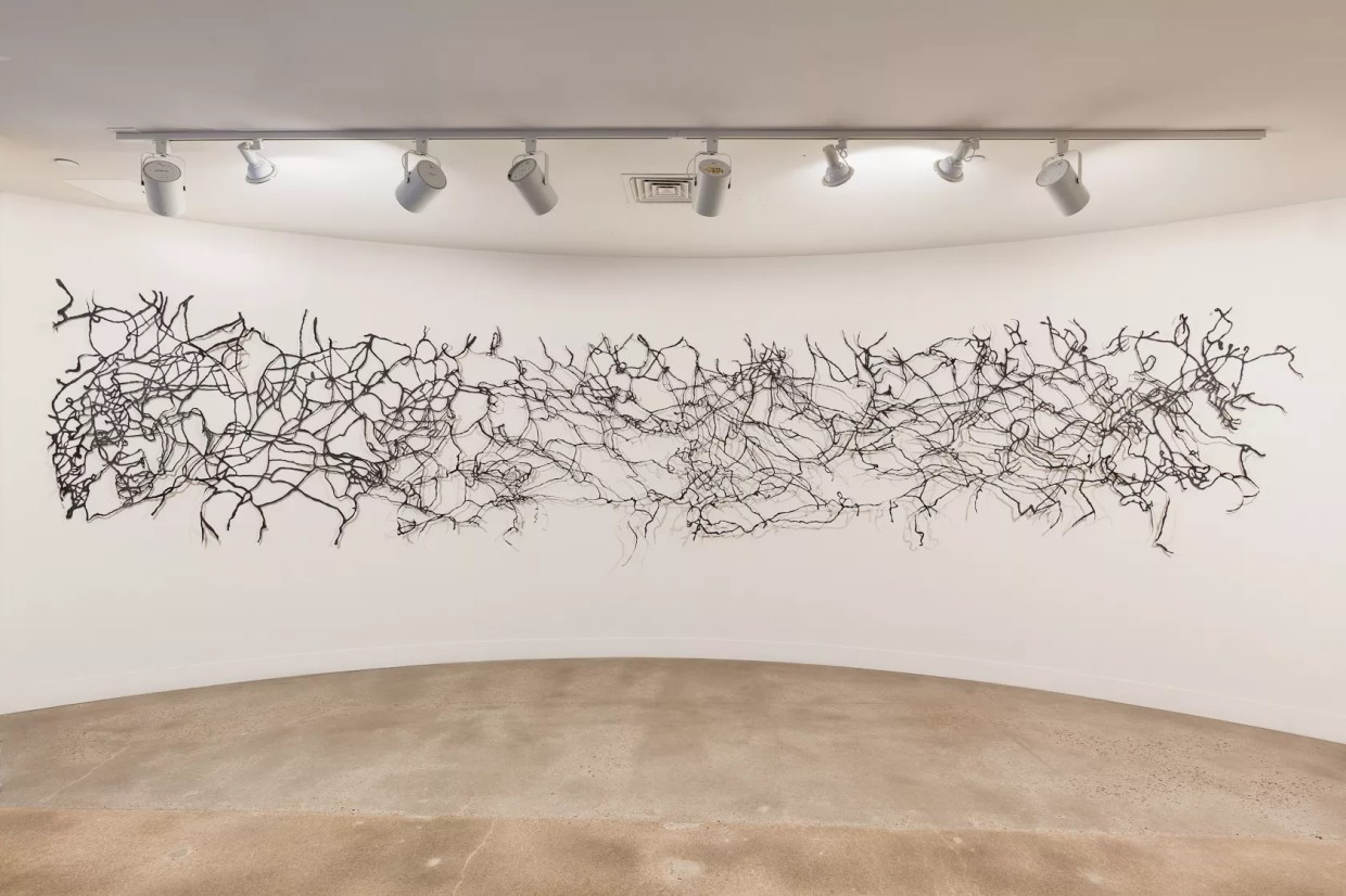 How to Create Art at a Snail’s Pace