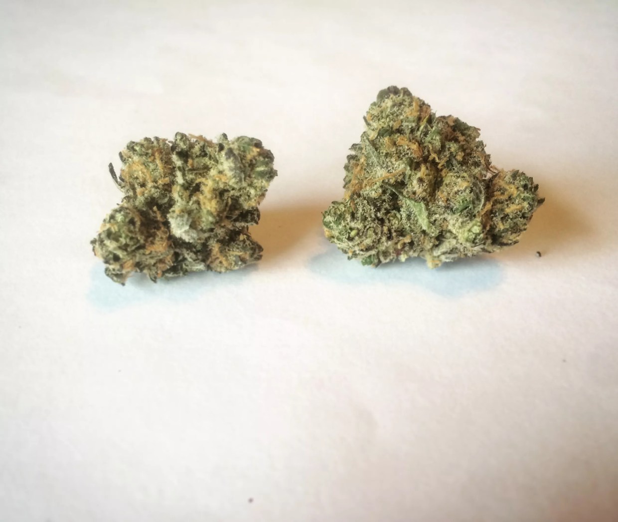 Why Colorado Tokers Love Juicy Fruit