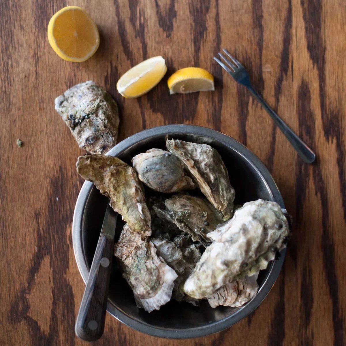 Six Stops for Slurping on National Oyster Day — Saturday, August 5