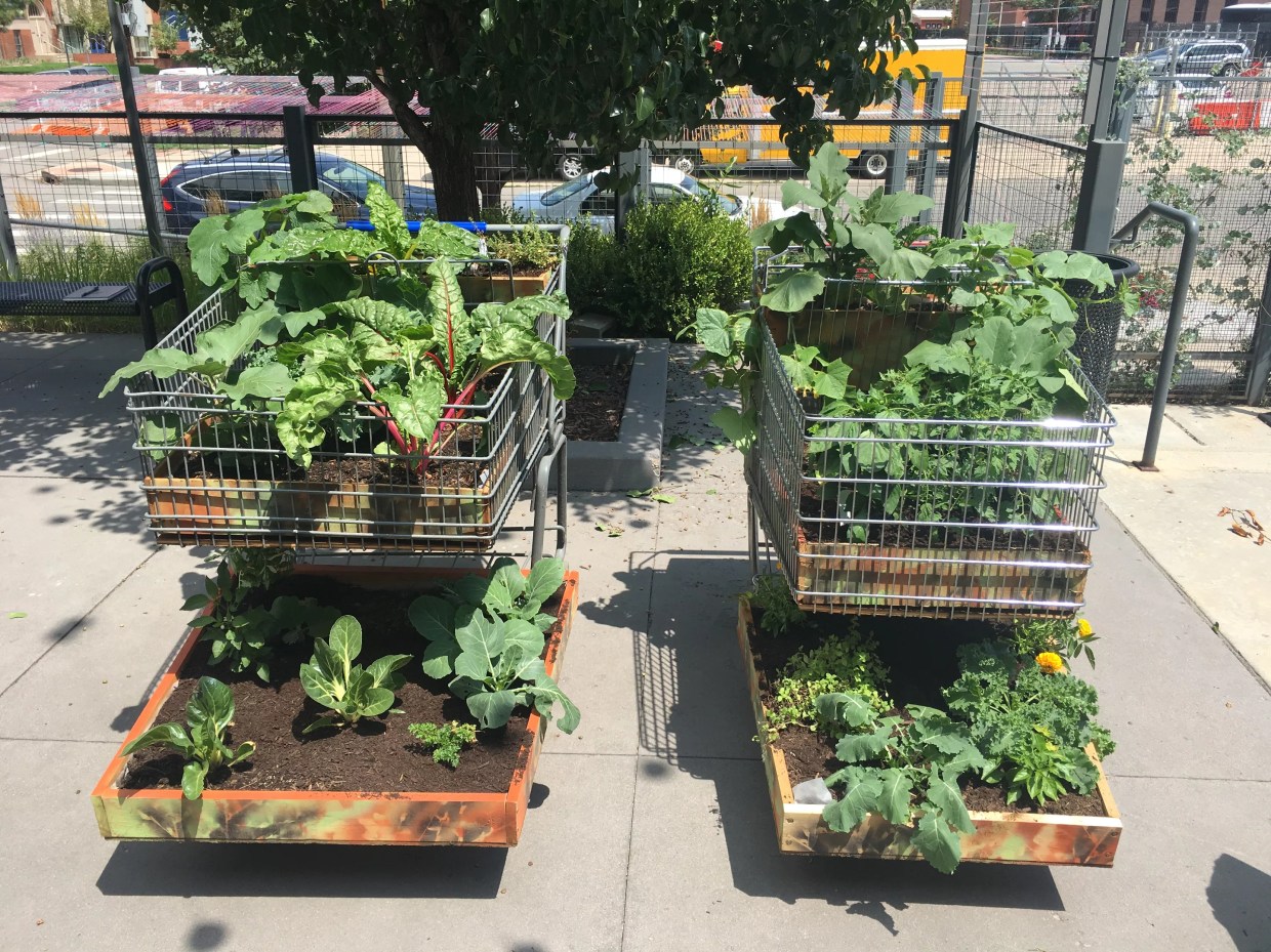 The 48 Hour Summit Brings Socially Engaged Art to RedLine