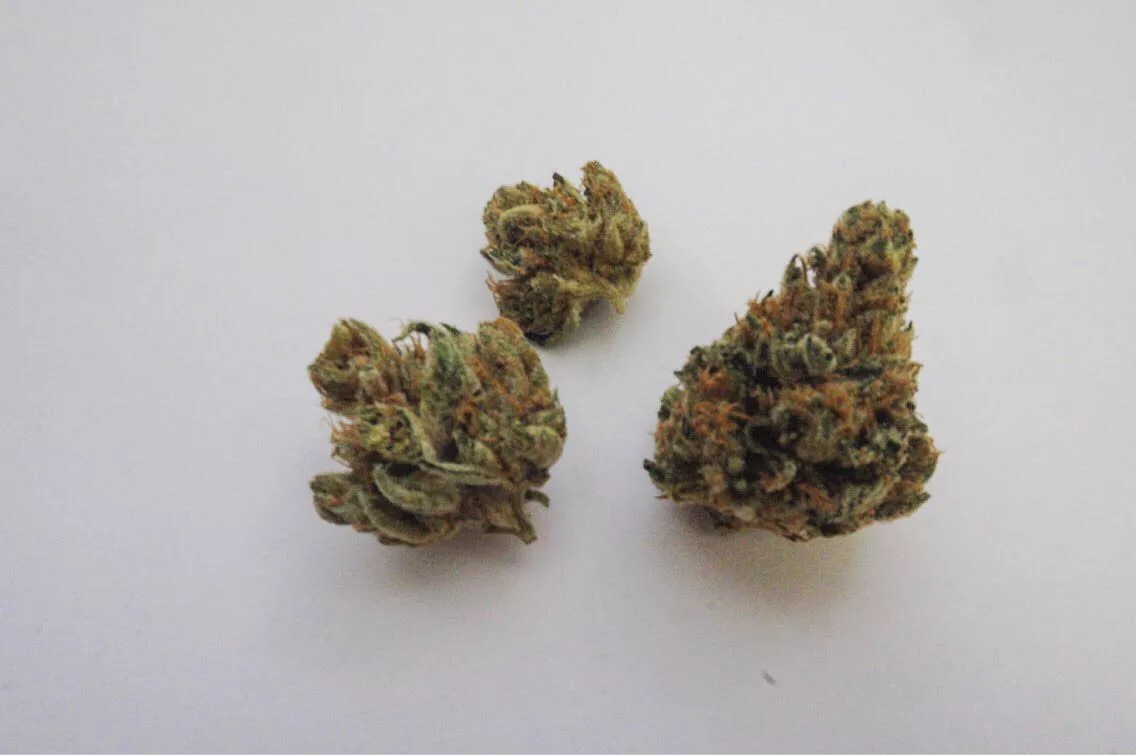 Why Colorado Tokers Love WiFi OG