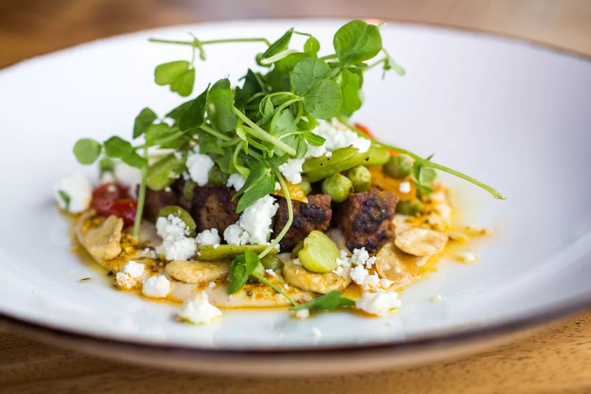 Justin Cucci Reaches New Heights with El Five