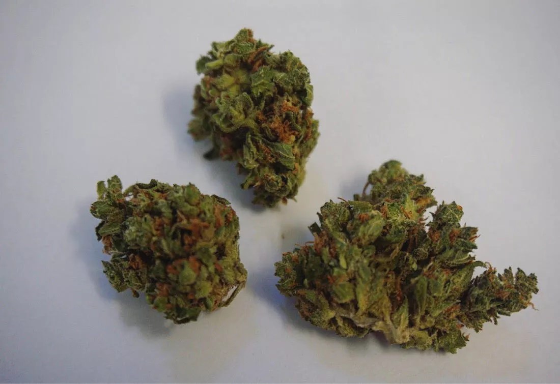 Why Colorado Tokers Love Amnesia Haze