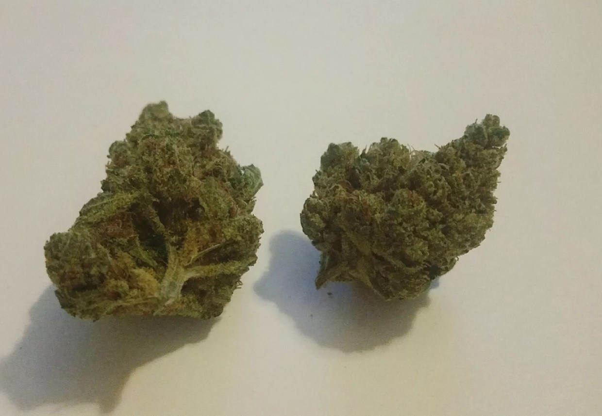 Why Colorado Tokers Love Smurfette