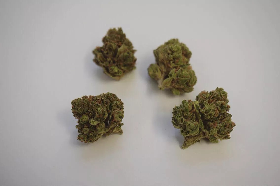 Why Colorado Tokers Love Booger