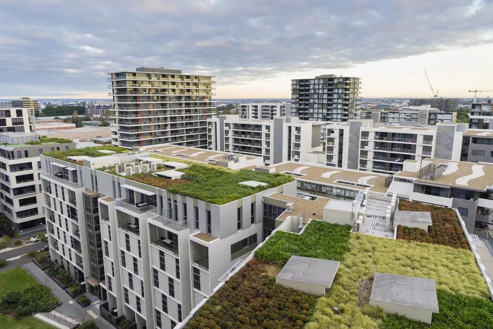 Developers Try — and Fail — to Delay the Green Roof Initiative