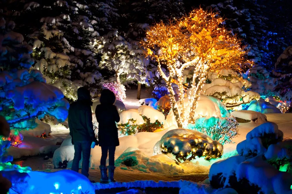 The 21 Best Events in Denver, November 21-27