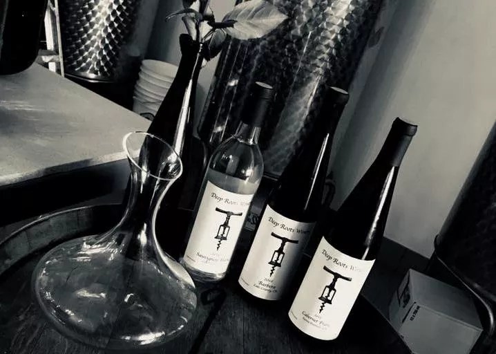 Deep Roots Adds Urban Winery and Bistro to LoDo