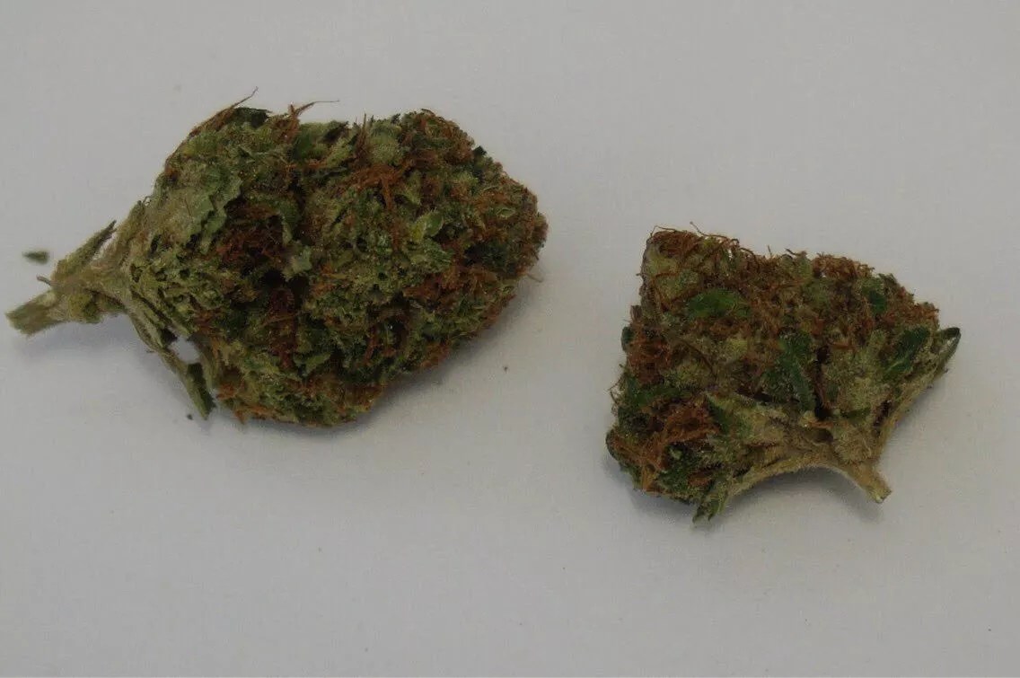 Why Colorado Tokers Love Snowcap