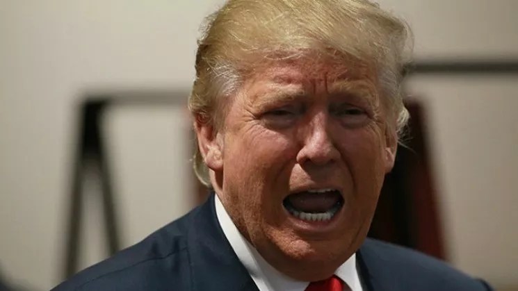 Jared Polis and Elizabeth Warren Ask Trump to Protect State Pot Laws