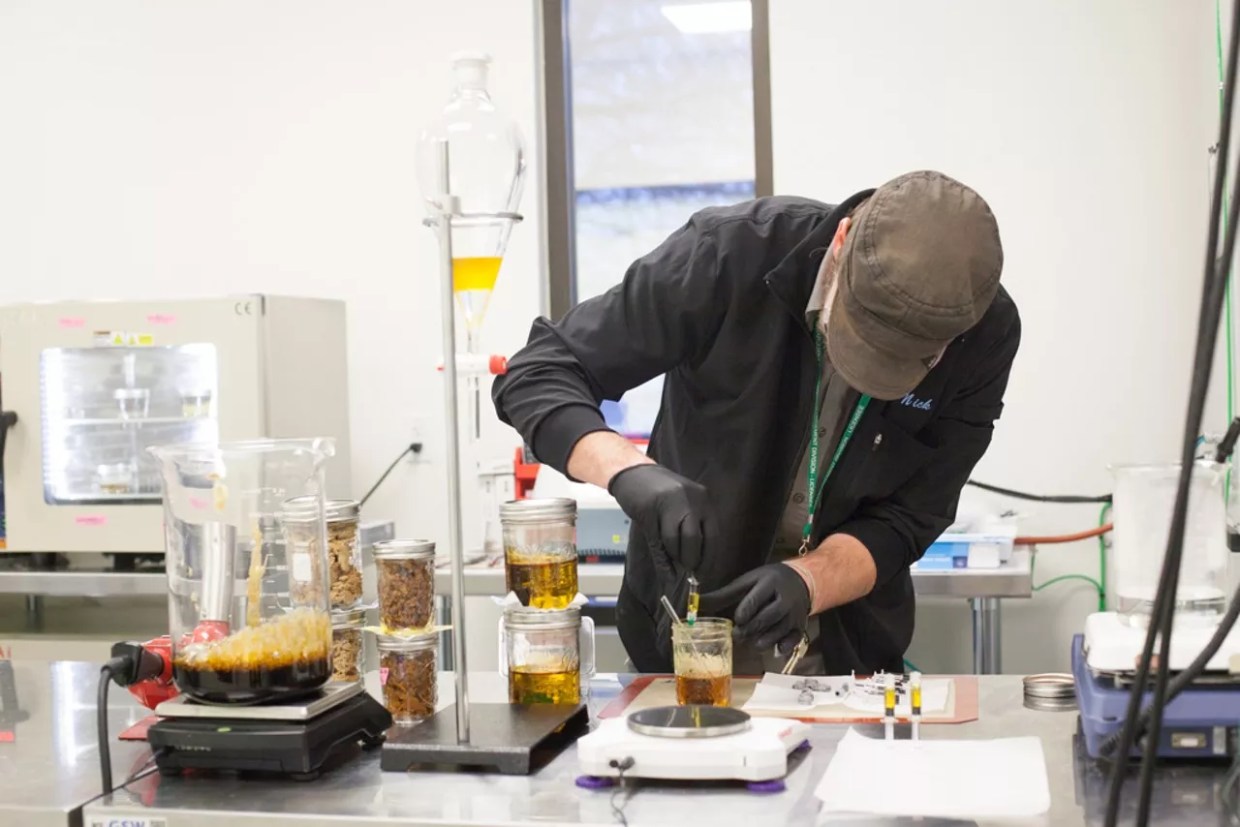 American Chemical Society Offers Scholarship for Cannabis Chemists