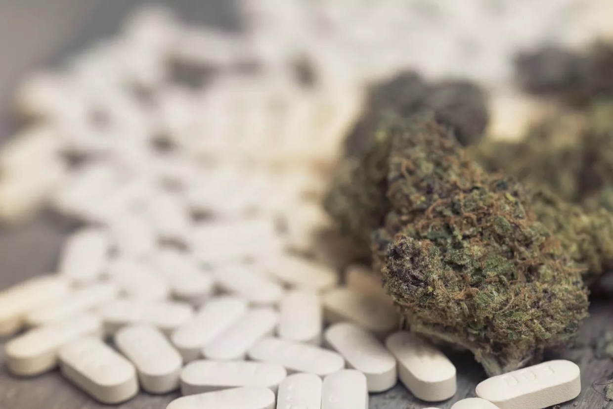 Drug Free America Believes Legal Weed Exploits the Opioid Epidemic