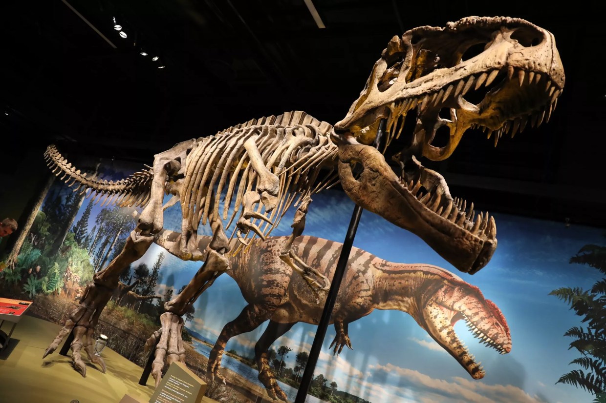 Denver Museum of Nature & Science Free for Furloughed Federal Workers