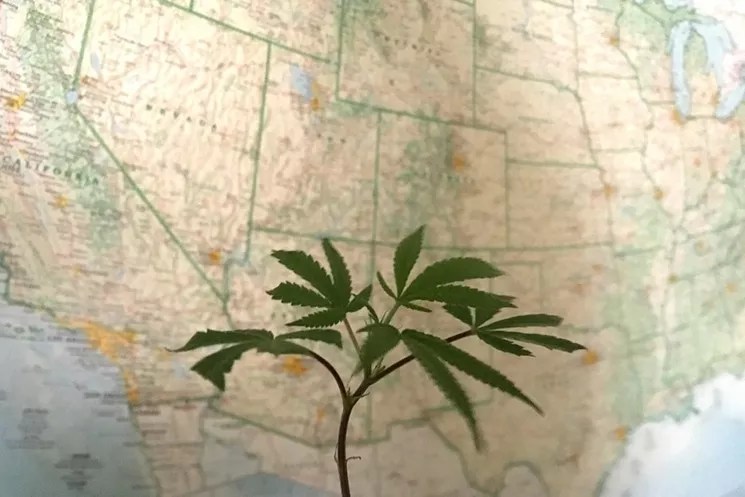 Final Budget Bill Fails to Include Protection for Recreational Marijuana