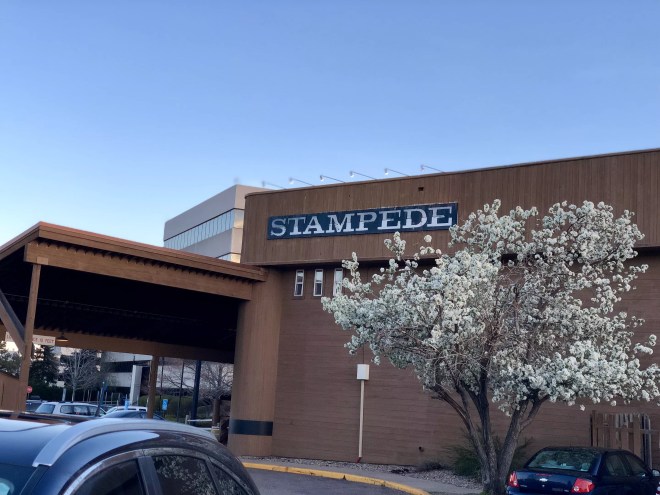 The Stampede is a happening Latin joint now.