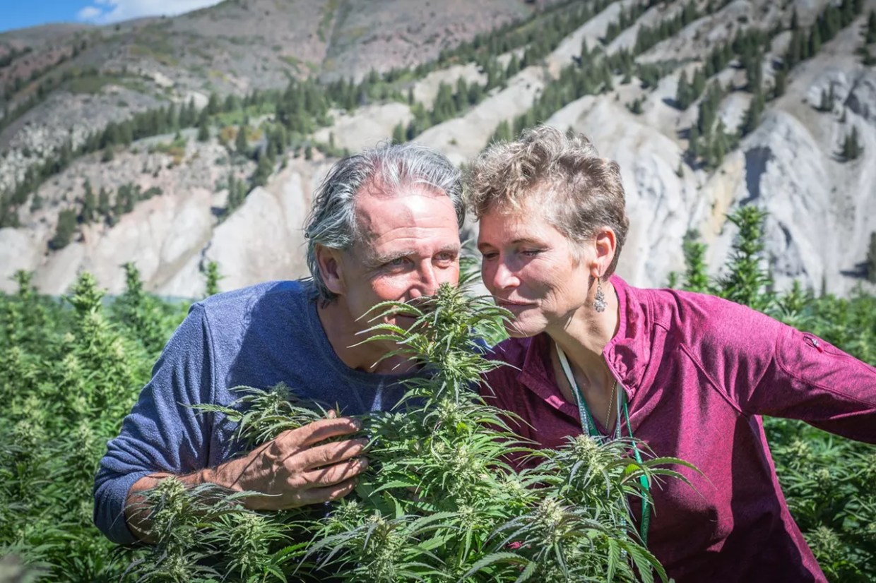 Research Initiative Wants 100,000 MMJ Patients for Project