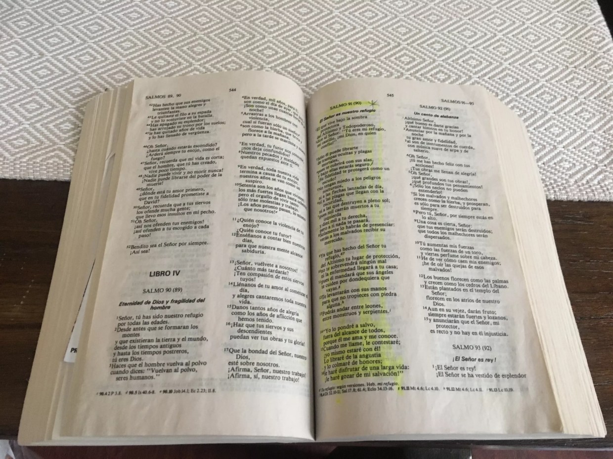 Two Guatemalan Mothers Separated From Children Describe Hellacious Journeys to U.S.