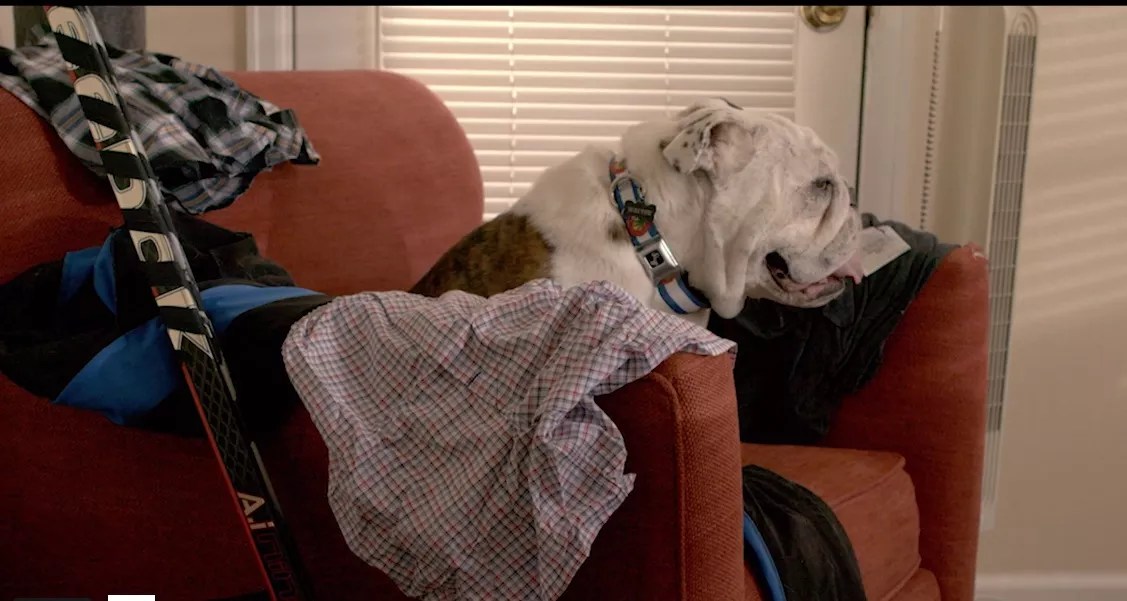 <i>Army & Coop</i>, a Raunchy Boulder Comedy, Premieres at Blissfest